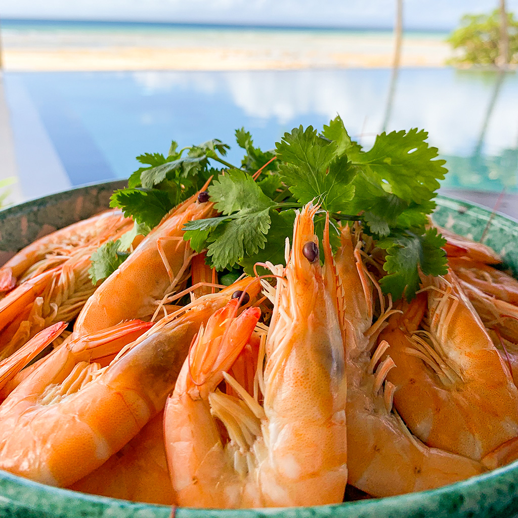 Balesin vannamei shrimps